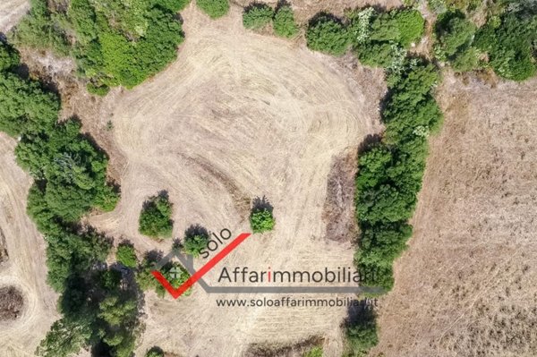 terreno agricolo in vendita ad Olbia in zona Santa Mariedda