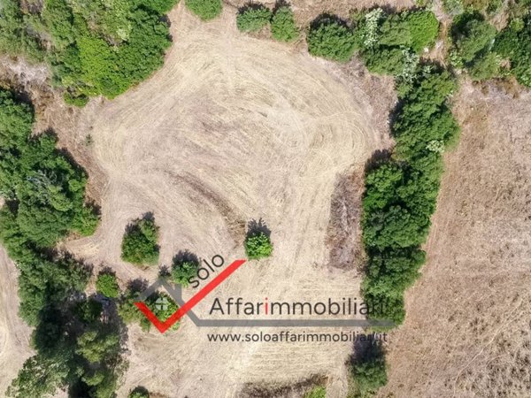 terreno agricolo in vendita ad Olbia in zona Santa Mariedda