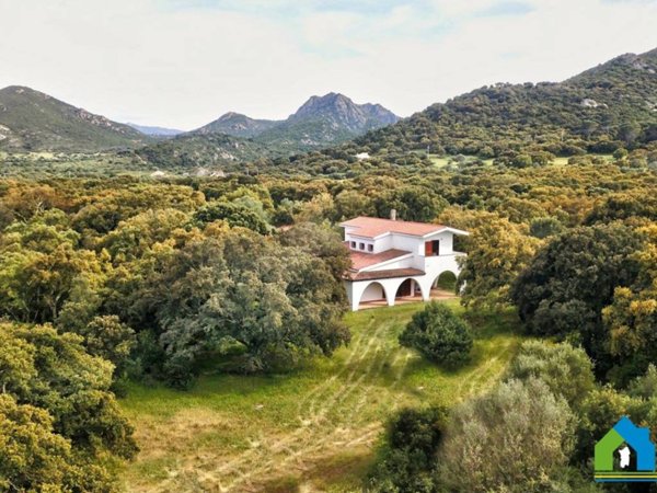 casa indipendente in vendita ad Olbia in zona Olbia Mare / Sa Marinedda