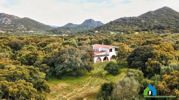 casa indipendente in vendita ad Olbia in zona Porto Istana