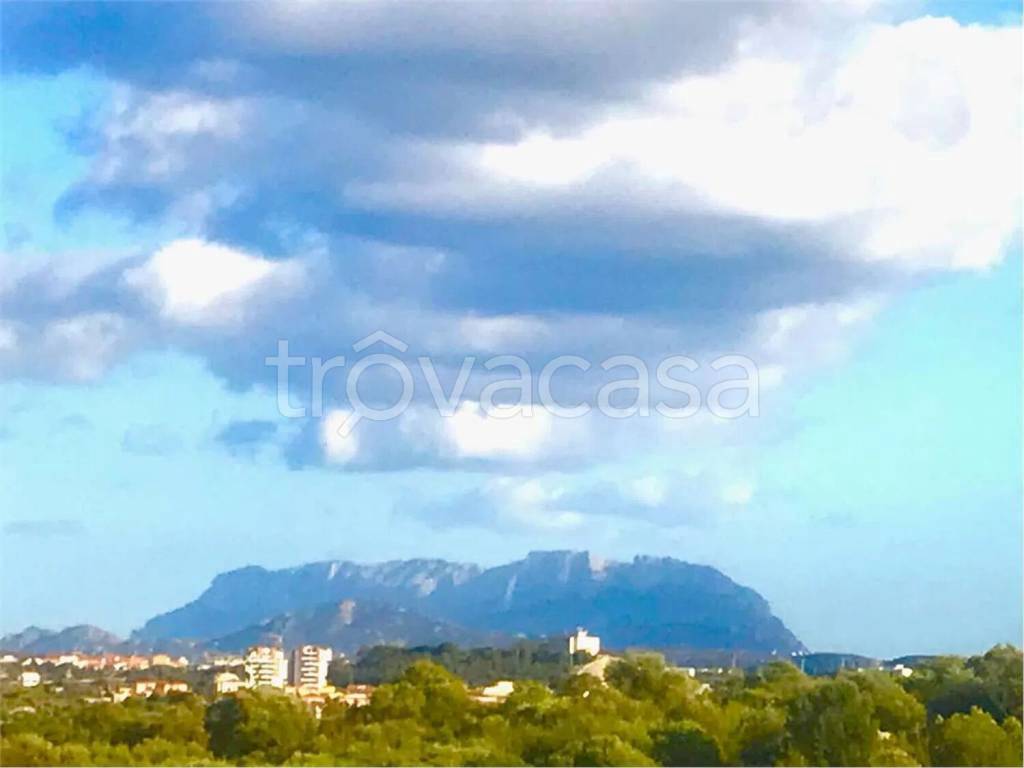 terreno agricolo in vendita ad Olbia