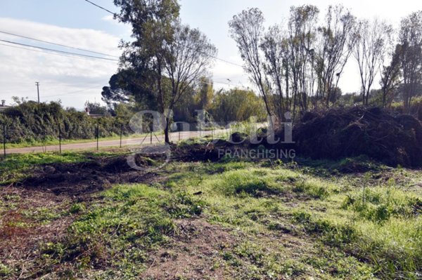 terreno agricolo in vendita ad Olbia in zona Santa Mariedda