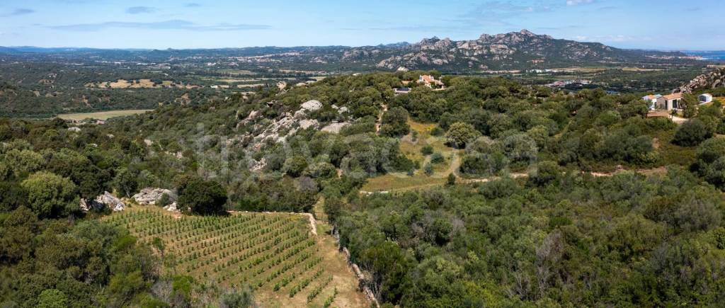 casa indipendente in vendita ad Olbia in zona San Pantaleo