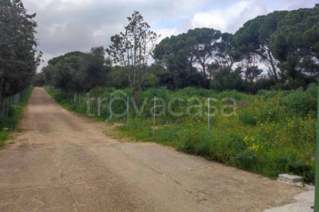 terreno agricolo in vendita ad Olbia