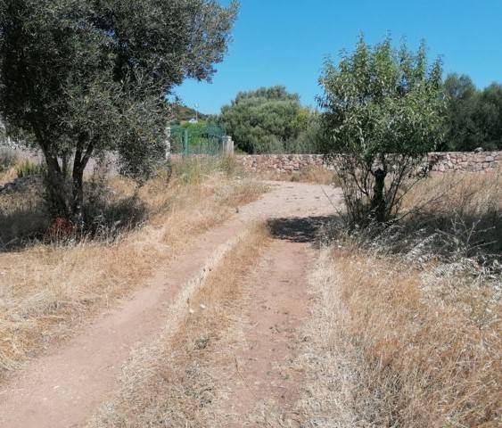 terreno agricolo in vendita ad Olbia in zona Cugnana