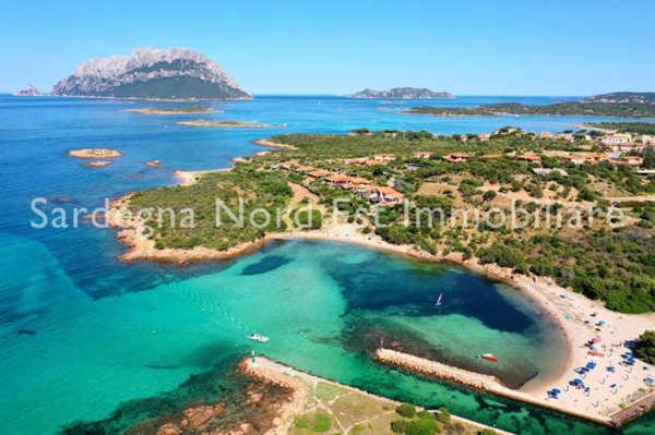 casa indipendente in vendita ad Olbia