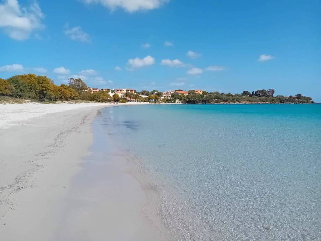 appartamento in vendita ad Olbia in zona Pittulongu