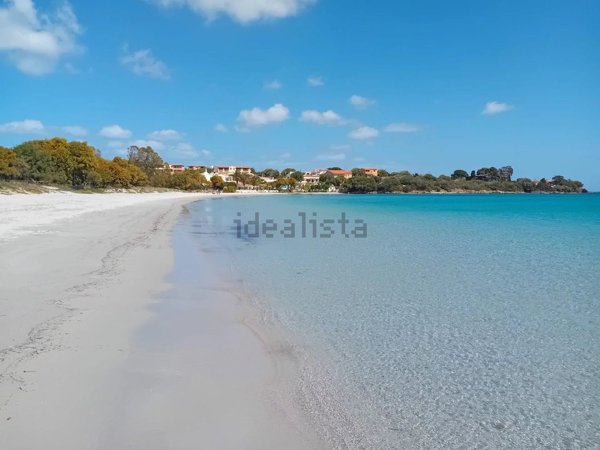 appartamento in vendita ad Olbia in zona Pittulongu