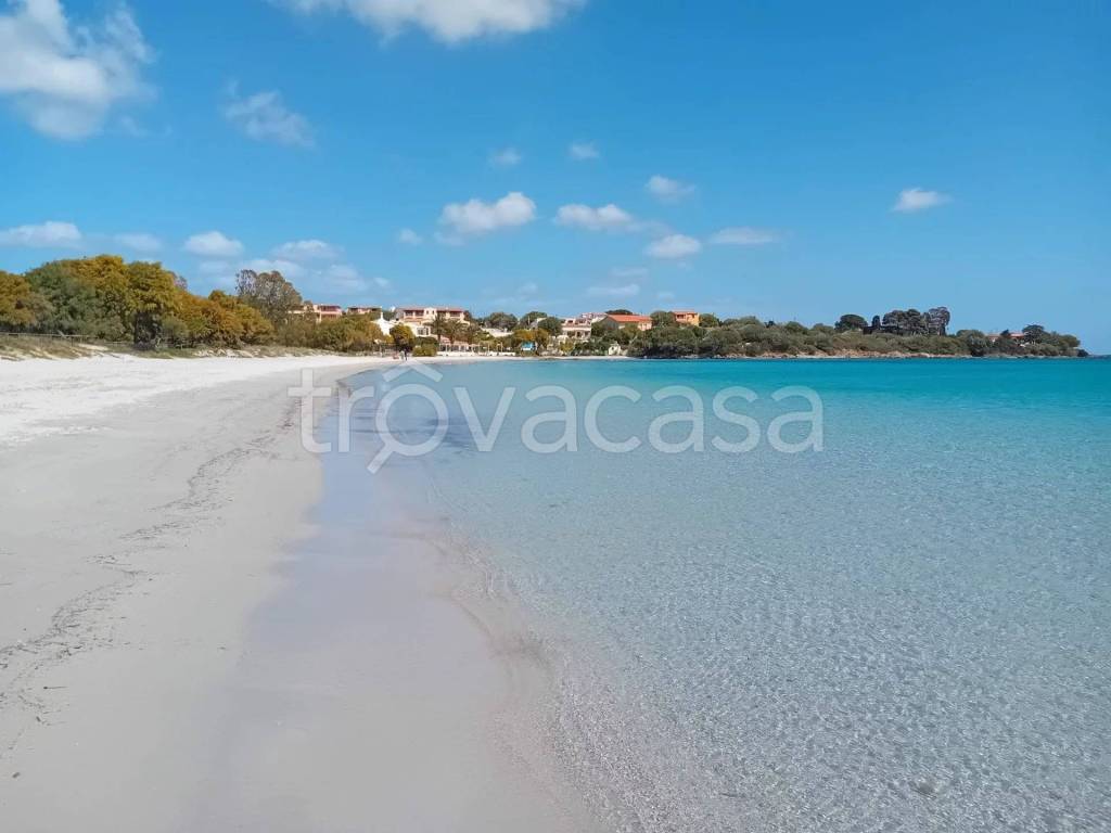 appartamento in vendita ad Olbia in zona Pittulongu