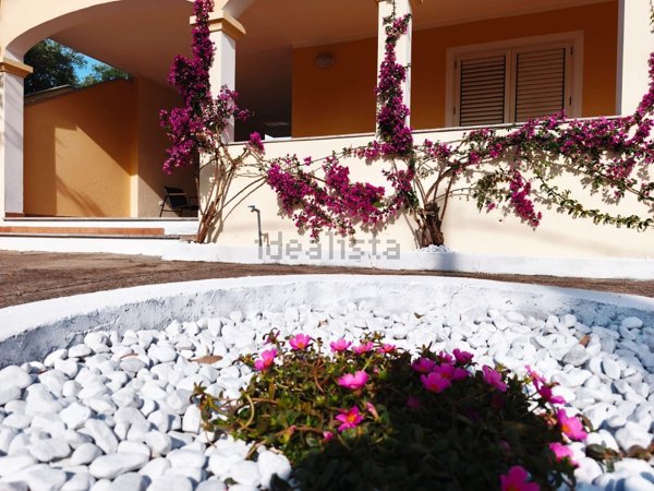 casa indipendente in vendita ad Olbia