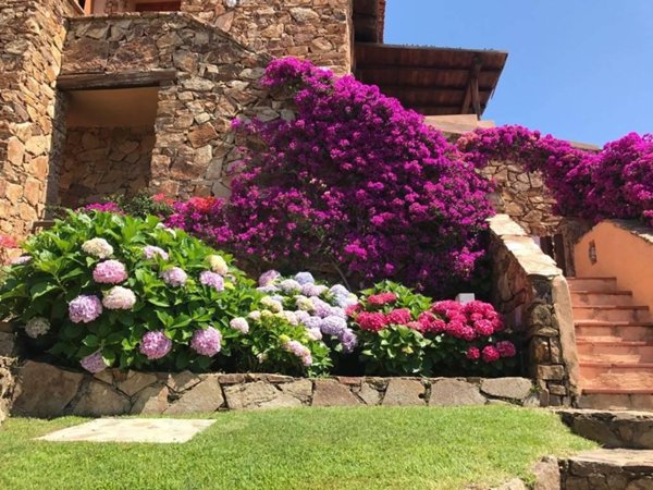 appartamento in vendita ad Olbia in zona Porto Rotondo