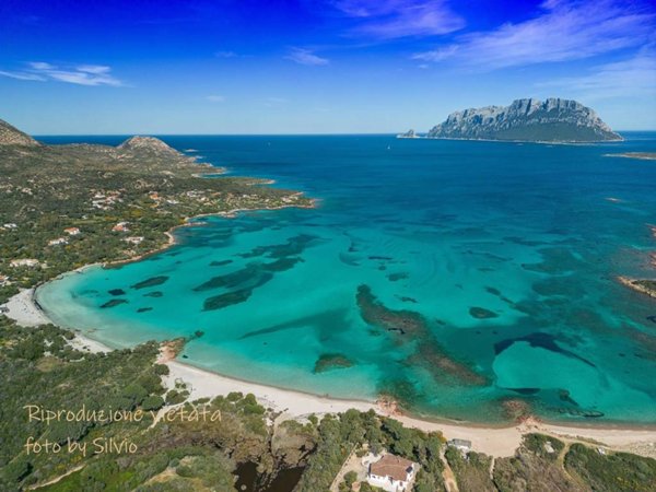casa indipendente in vendita ad Olbia in zona Porto Istana