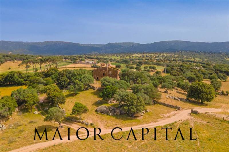 casa indipendente in vendita ad Olbia