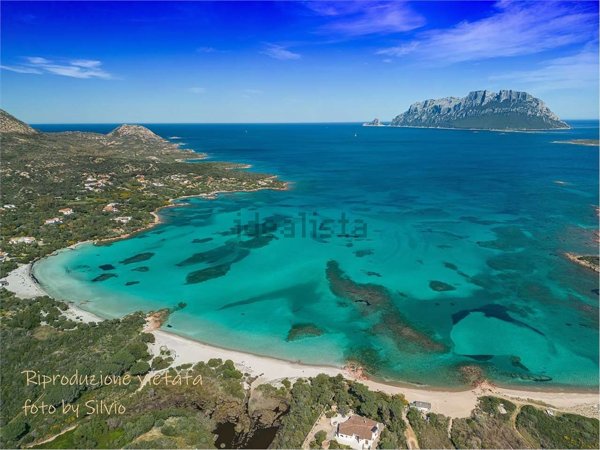 casa indipendente in vendita ad Olbia in zona Porto Istana