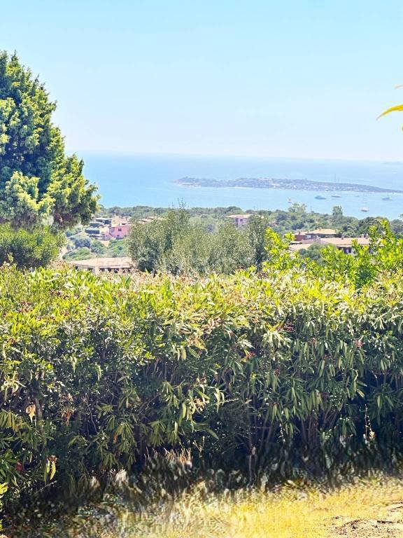 casa indipendente in vendita ad Olbia in zona Portisco