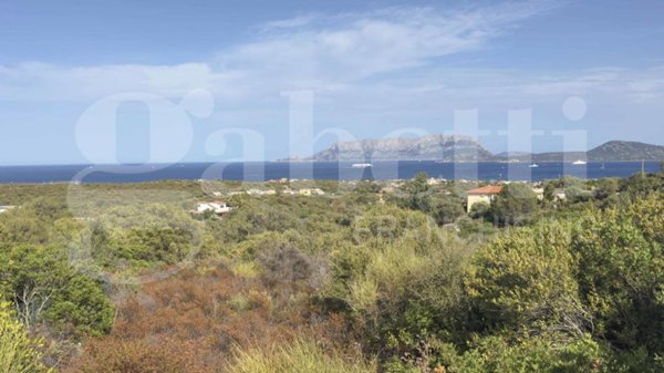 terreno agricolo in vendita ad Olbia in zona Pittulongu