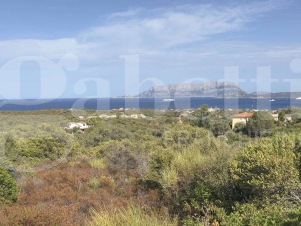 terreno agricolo in vendita ad Olbia in zona Pittulongu