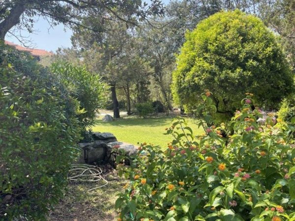 appartamento in vendita ad Olbia in zona Porto Rotondo