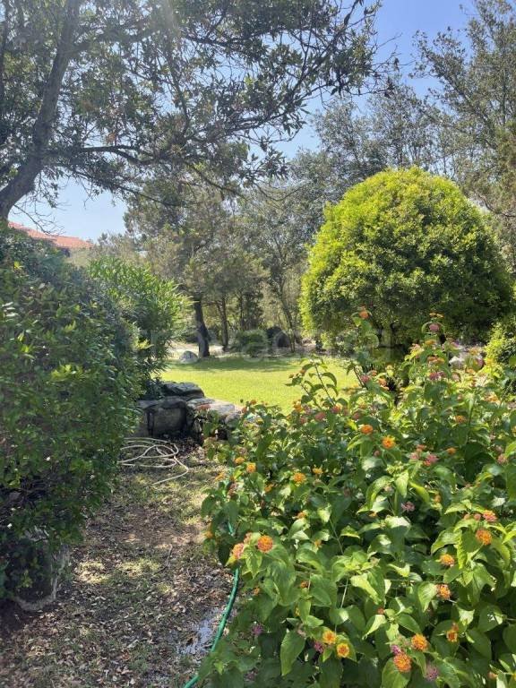appartamento in vendita ad Olbia in zona Porto Rotondo