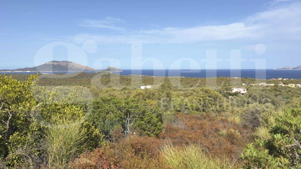 terreno agricolo in vendita ad Olbia in zona Pittulongu