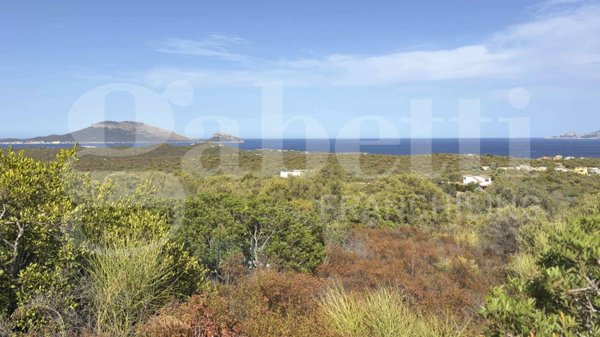 terreno agricolo in vendita ad Olbia in zona Pittulongu