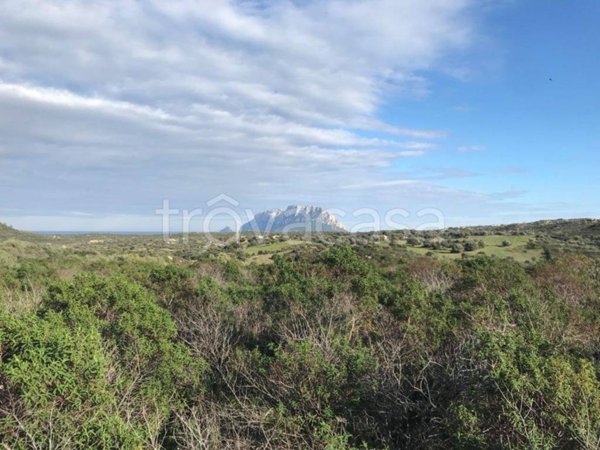 terreno agricolo in vendita ad Olbia in zona Murta Maria