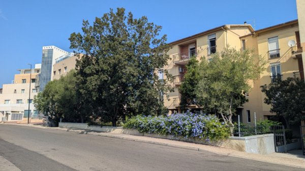 appartamento in vendita ad Olbia