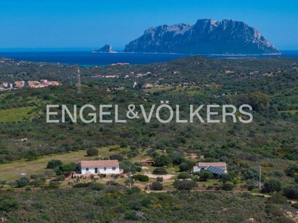 casa indipendente in vendita ad Olbia in zona Porto Istana