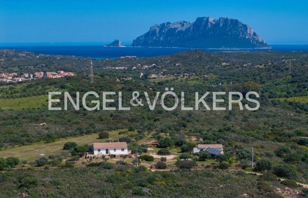 appartamento in vendita ad Olbia