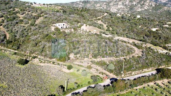 casa indipendente in vendita ad Olbia in zona Sole Ruiu