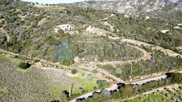 casa indipendente in vendita ad Olbia in zona Sole Ruiu