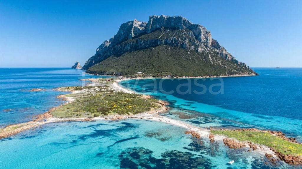 casa indipendente in vendita ad Olbia in zona Pittulongu