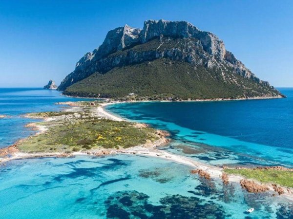 casa indipendente in vendita ad Olbia in zona Pittulongu