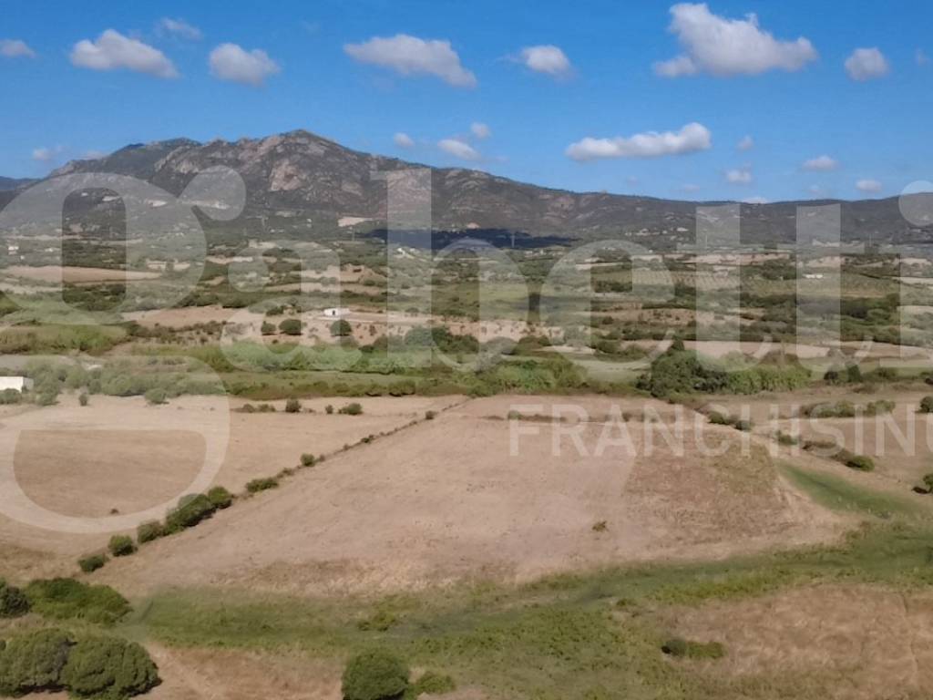 terreno agricolo in vendita ad Olbia in zona Putzolu