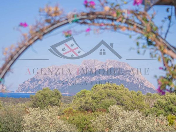 casa indipendente in vendita ad Olbia in zona Porto Istana