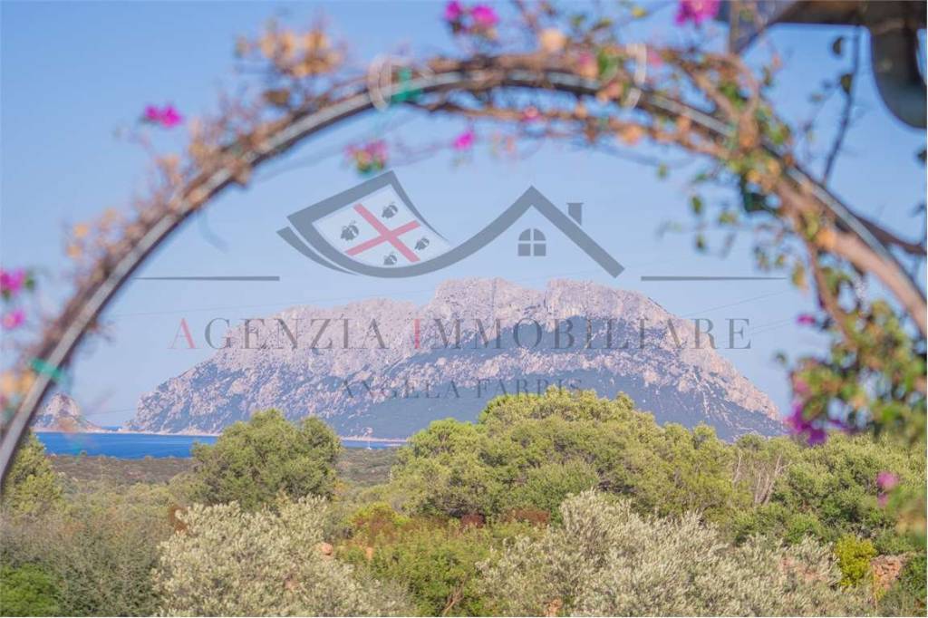 casa indipendente in vendita ad Olbia