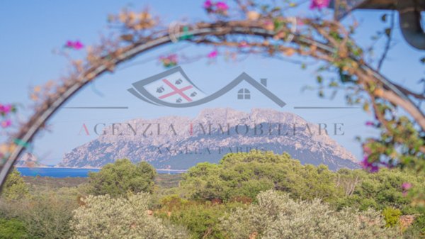 casa indipendente in vendita ad Olbia