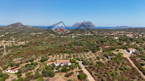 casa indipendente in vendita ad Olbia in zona Murta Maria