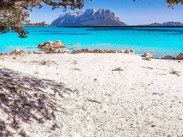 appartamento in vendita ad Olbia in zona Porto Istana