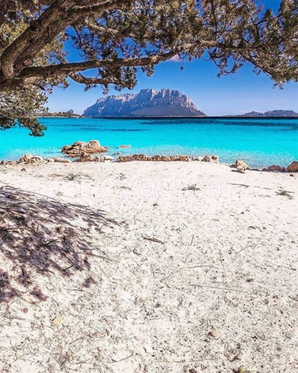 appartamento in vendita ad Olbia