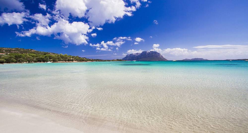 appartamento in vendita ad Olbia in zona Porto Istana