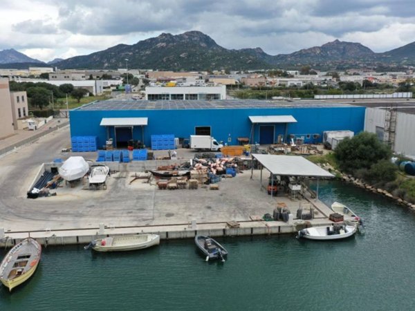 locale commerciale in vendita ad Olbia in zona Pittulongu