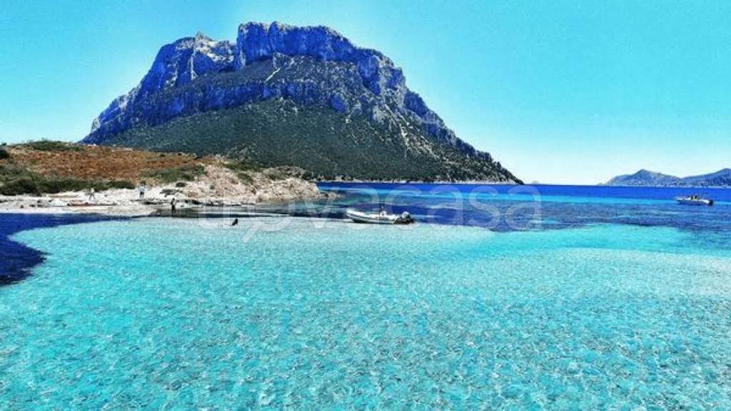 casa indipendente in vendita ad Olbia in zona Porto Istana