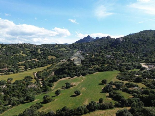 terreno agricolo in vendita ad Olbia in zona Sole Ruiu