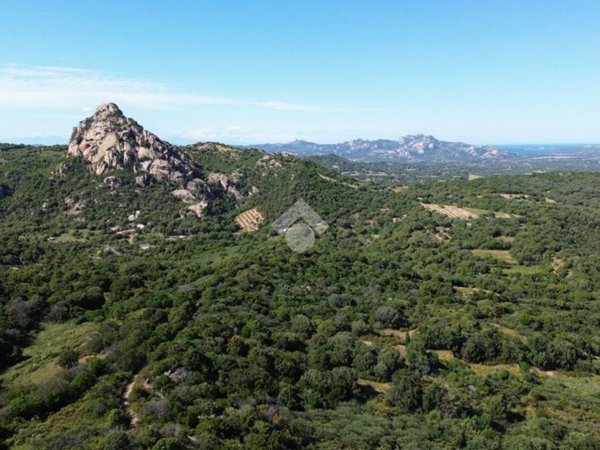 terreno agricolo in vendita ad Olbia in zona Sole Ruiu