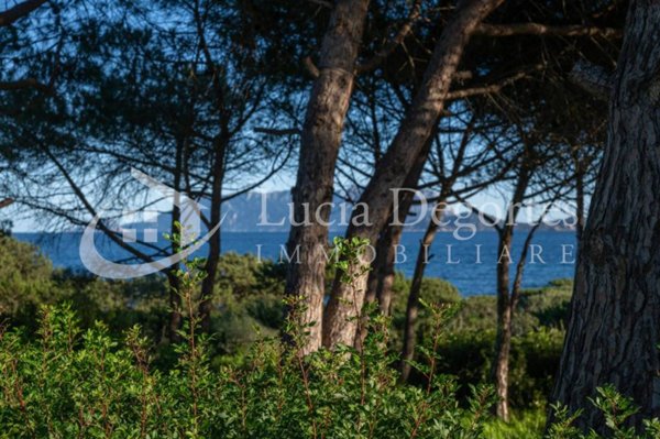 casa indipendente in vendita ad Olbia in zona Pittulongu