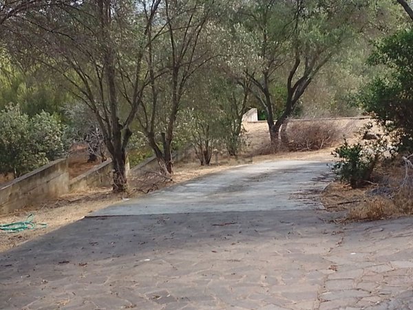 casa indipendente in vendita ad Olbia in zona Santa Lucia