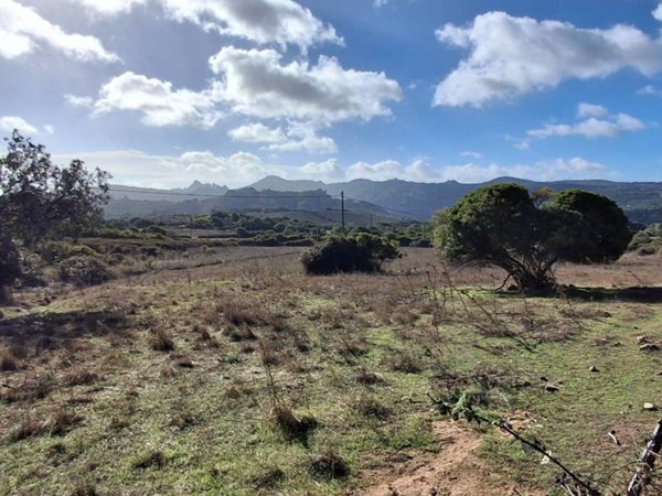 terreno agricolo in vendita ad Olbia in zona Sole Ruiu