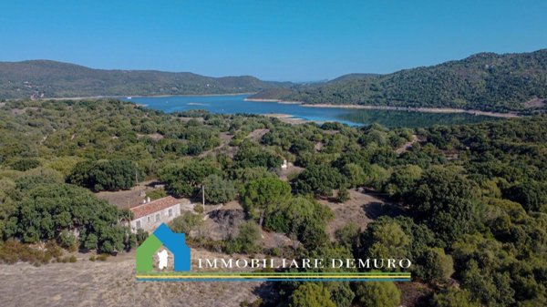 esavano in vendita ad Olbia