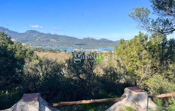 casa indipendente in vendita ad Olbia in zona Porto Rotondo
